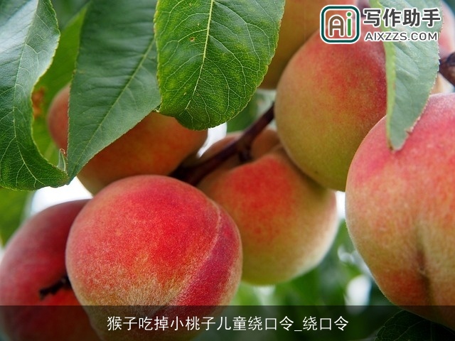 猴子吃掉小桃子儿童绕口令_绕口令