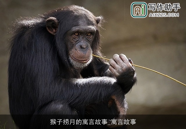 猴子捞月的寓言故事_寓言故事