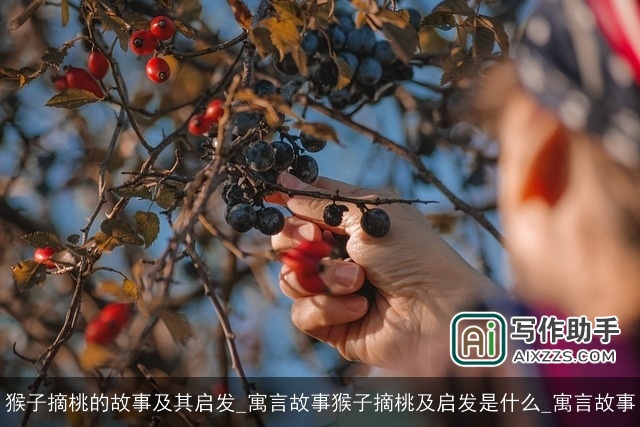 猴子摘桃的故事及其启发_寓言故事猴子摘桃及启发是什么_寓言故事