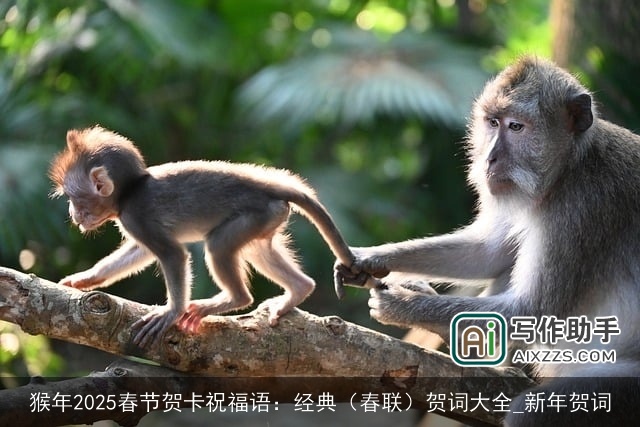 猴年2025春节贺卡祝福语：经典（春联）贺词大全_新年贺词