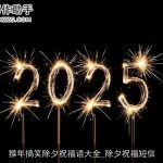 猴年搞笑除夕祝福语大全_除夕祝福短信