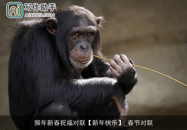 猴年新春祝福对联【新年快乐】_春节对联