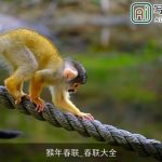 猴年春联_春联大全