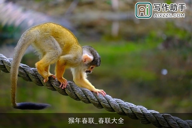 猴年春联_春联大全