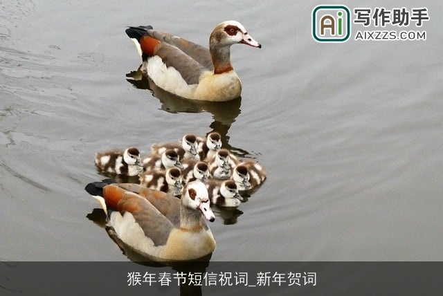 猴年春节短信祝词_新年贺词
