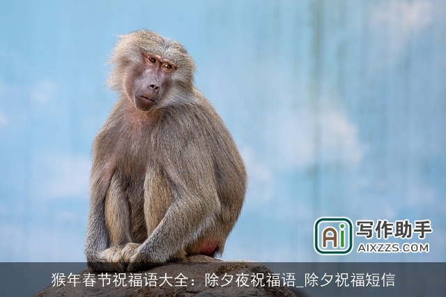 猴年春节祝福语大全：除夕夜祝福语_除夕祝福短信