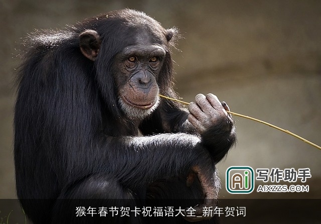 猴年春节贺卡祝福语大全_新年贺词
