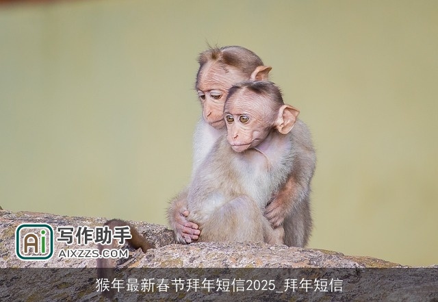 猴年最新春节拜年短信2025_拜年短信