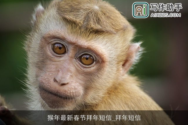 猴年最新春节拜年短信_拜年短信