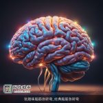 玩趣味脑筋急转弯_经典脑筋急转弯