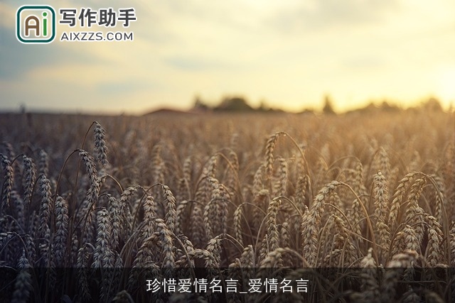 珍惜爱情名言_爱情名言