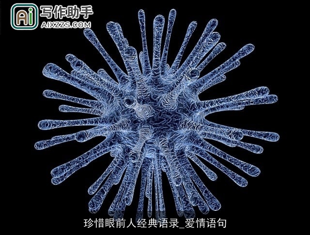 珍惜眼前人经典语录_爱情语句