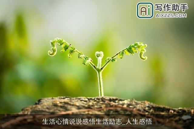 生活心情说说感悟生活励志_人生感悟