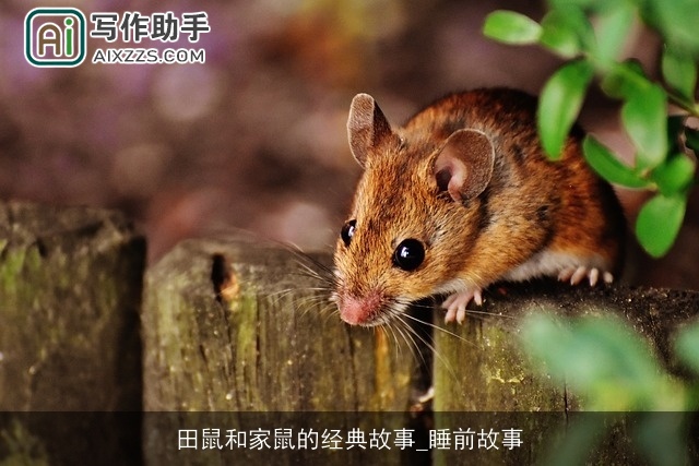 田鼠和家鼠的经典故事_睡前故事