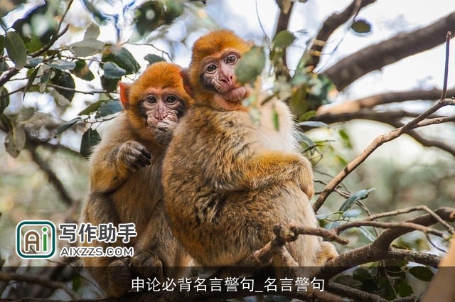 申论必背名言警句_名言警句