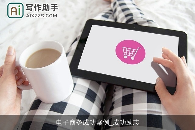 电子商务成功案例_成功励志