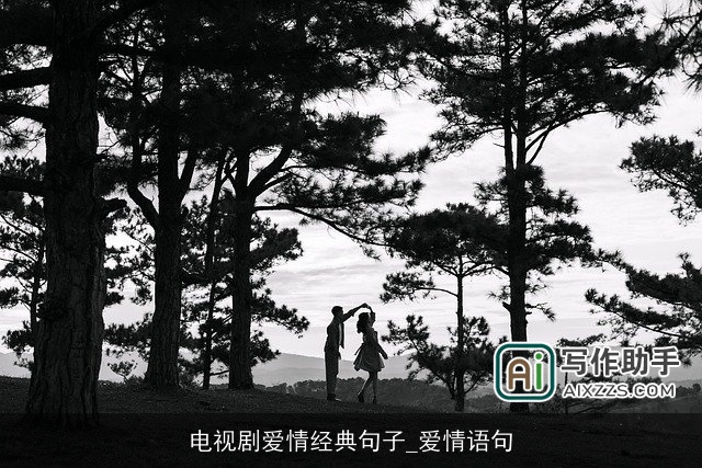 电视剧爱情经典句子_爱情语句