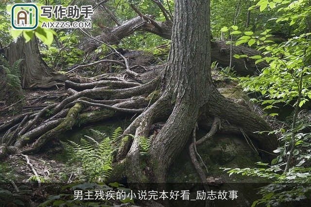 男主残疾的小说完本好看_励志故事