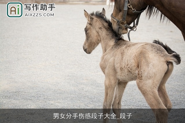 男女分手伤感段子大全_段子