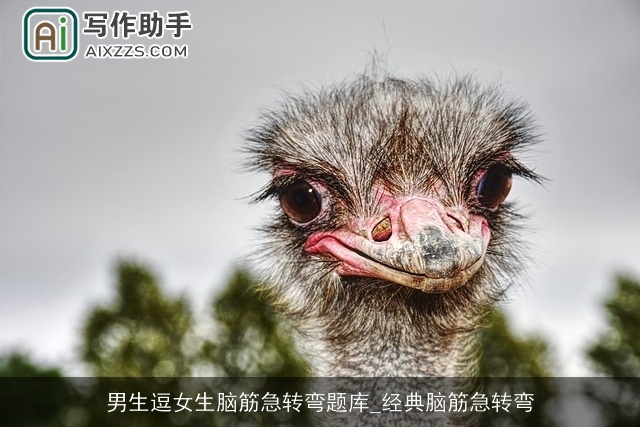 男生逗女生脑筋急转弯题库_经典脑筋急转弯