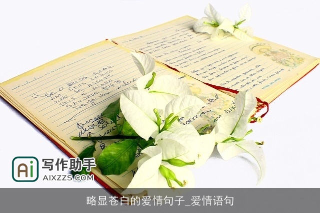 略显苍白的爱情句子_爱情语句