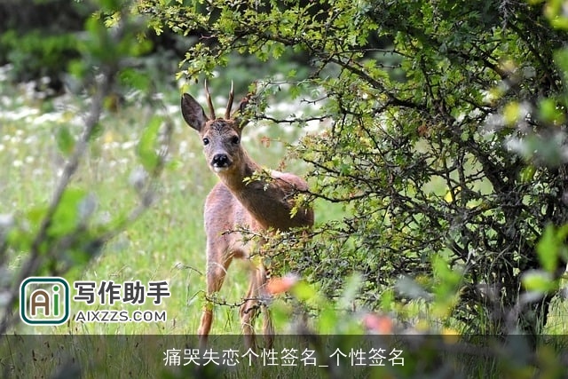 痛哭失恋个性签名_个性签名