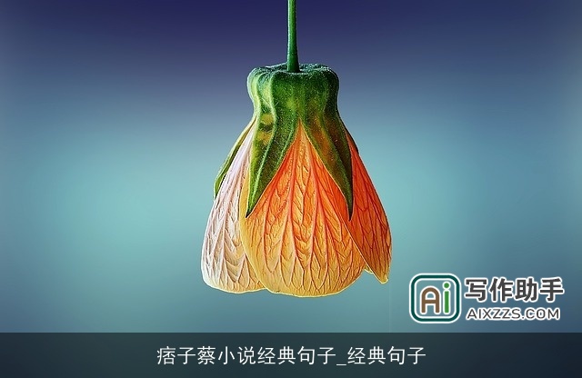 痞子蔡小说经典句子_经典句子