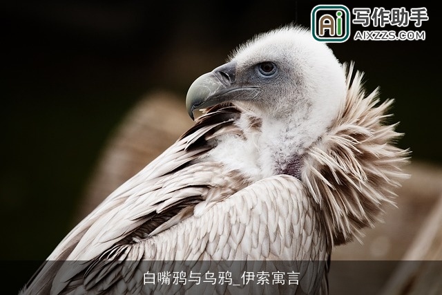 白嘴鸦与乌鸦_伊索寓言