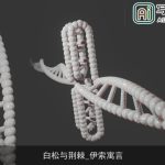 白松与荆棘_伊索寓言