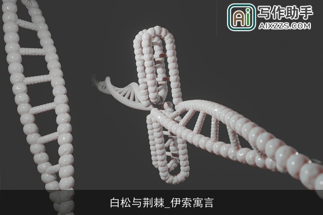 白松与荆棘_伊索寓言