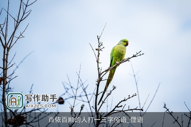 百依百顺的人打一三字俗语_俚语