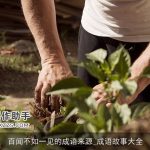 百闻不如一见的成语来源_成语故事大全