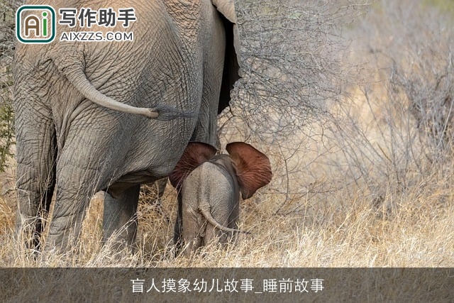 盲人摸象幼儿故事_睡前故事