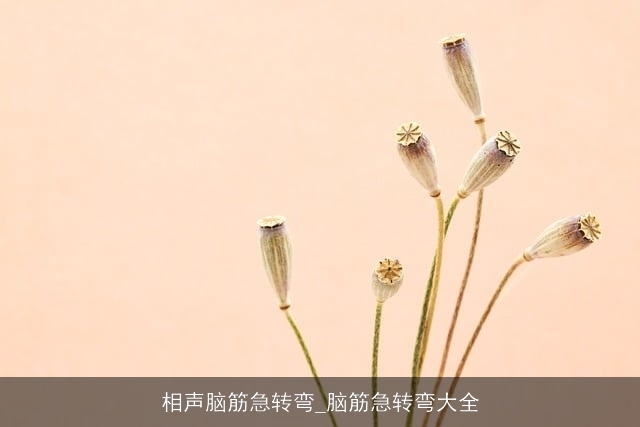 相声脑筋急转弯_脑筋急转弯大全