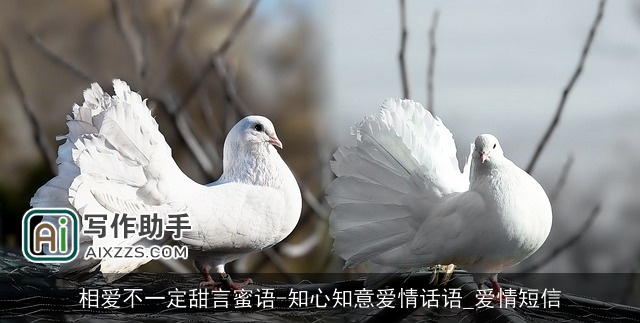 相爱不一定甜言蜜语-知心知意爱情话语_爱情短信