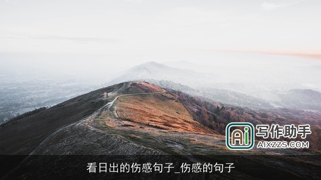 看日出的伤感句子_伤感的句子