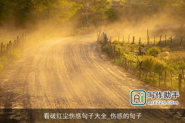 看破红尘伤感句子大全_伤感的句子