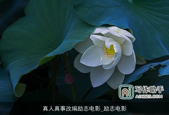 真人真事改编励志电影_励志电影