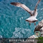真实历史小故事_历史故事