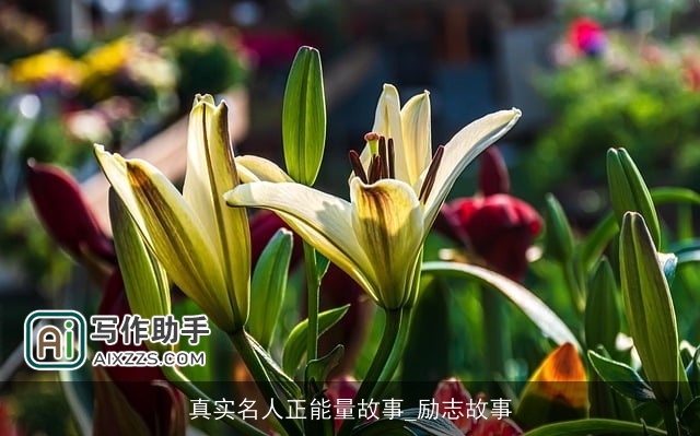 真实名人正能量故事_励志故事