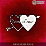 真实爱情故事短篇_爱情故事