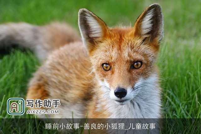 睡前小故事-善良的小狐狸_儿童故事