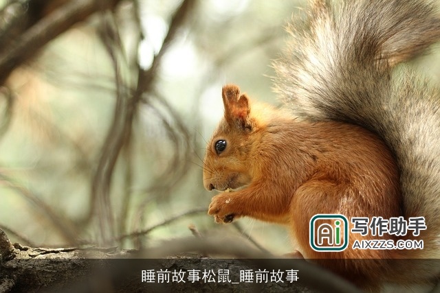 睡前故事松鼠_睡前故事
