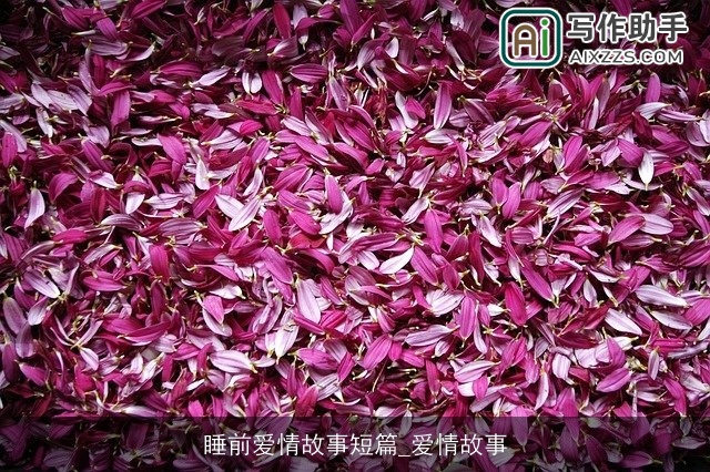 睡前爱情故事短篇_爱情故事