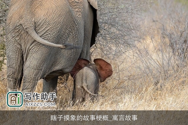 瞎子摸象的故事梗概_寓言故事