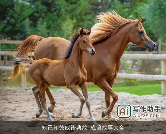 知己知彼成语典故_成语故事大全