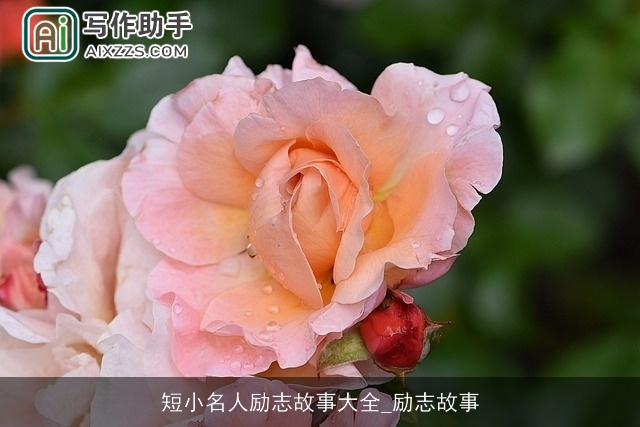 短小名人励志故事大全_励志故事