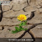 短小精炼哲理小故事_故事大全