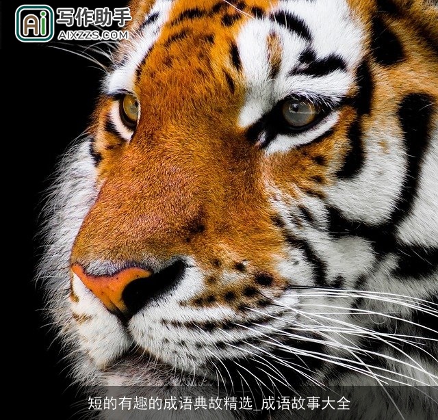 短的有趣的成语典故精选_成语故事大全