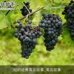 短的经典寓言故事_寓言故事